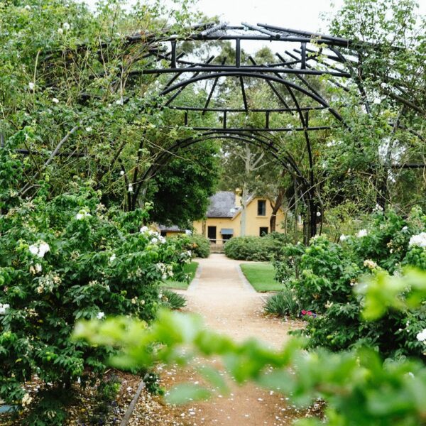 Rumsey Rose Garden