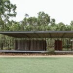 Lizard Log - Pavilion